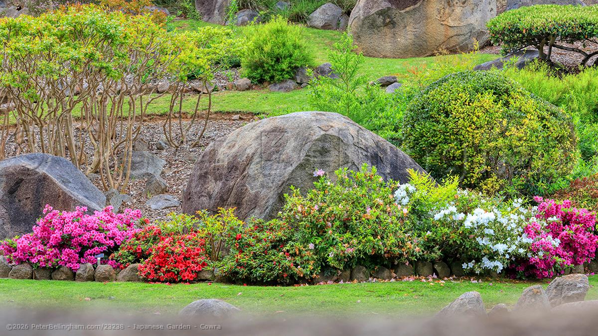 Peter Bellingham Photography Japanese Garden - Cowra